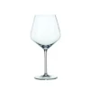 Spiegelau Burgundy Wine Glass Set, Style