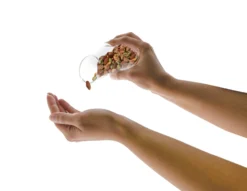 Snack Carafe 6 Snack Carafe -Kitchen Product Store 8125