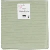Dishcloth Ripple Set - Sage