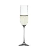 Spiegelau Champagne Flute, Set, Salute